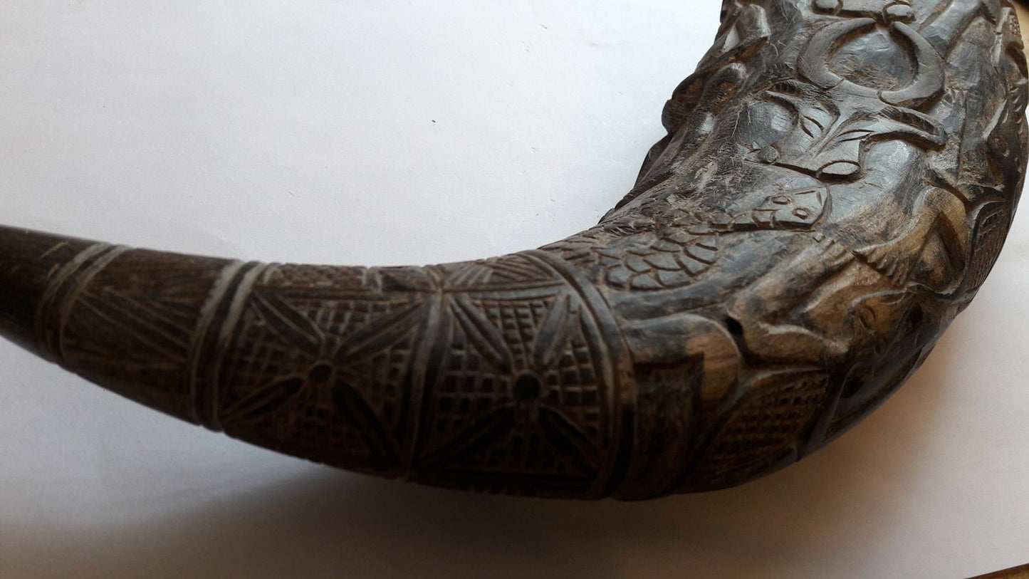 Carved Black Buffalo Horn – Bamun – Cameroon – Africa