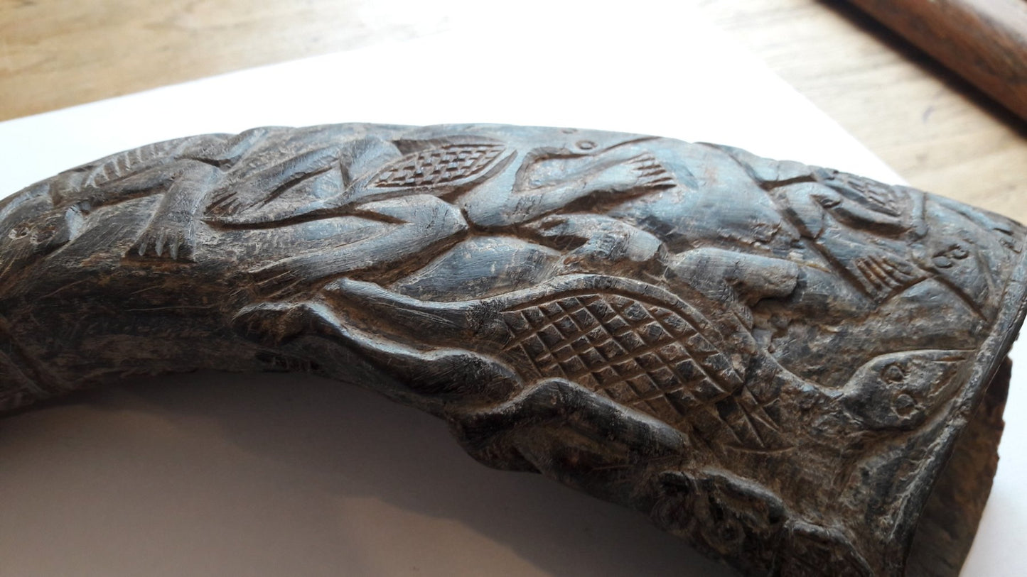 Carved Black Buffalo Horn – Bamun – Cameroon – Africa