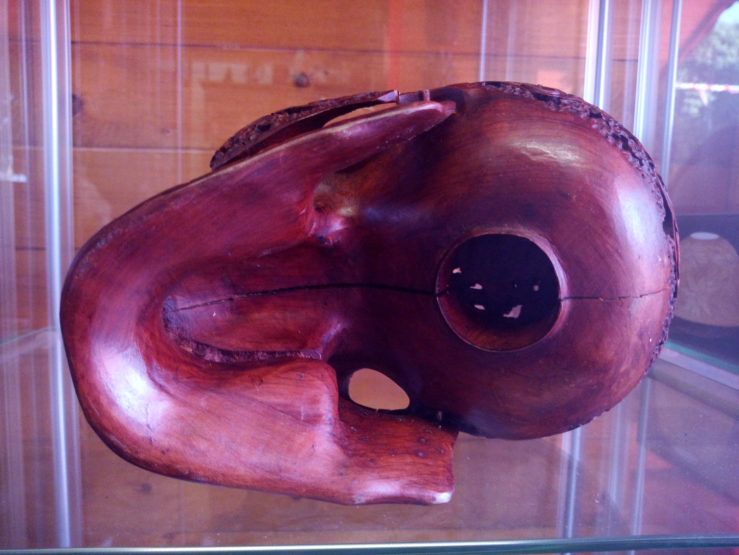 Human skull made of rosewood, carved and engraved