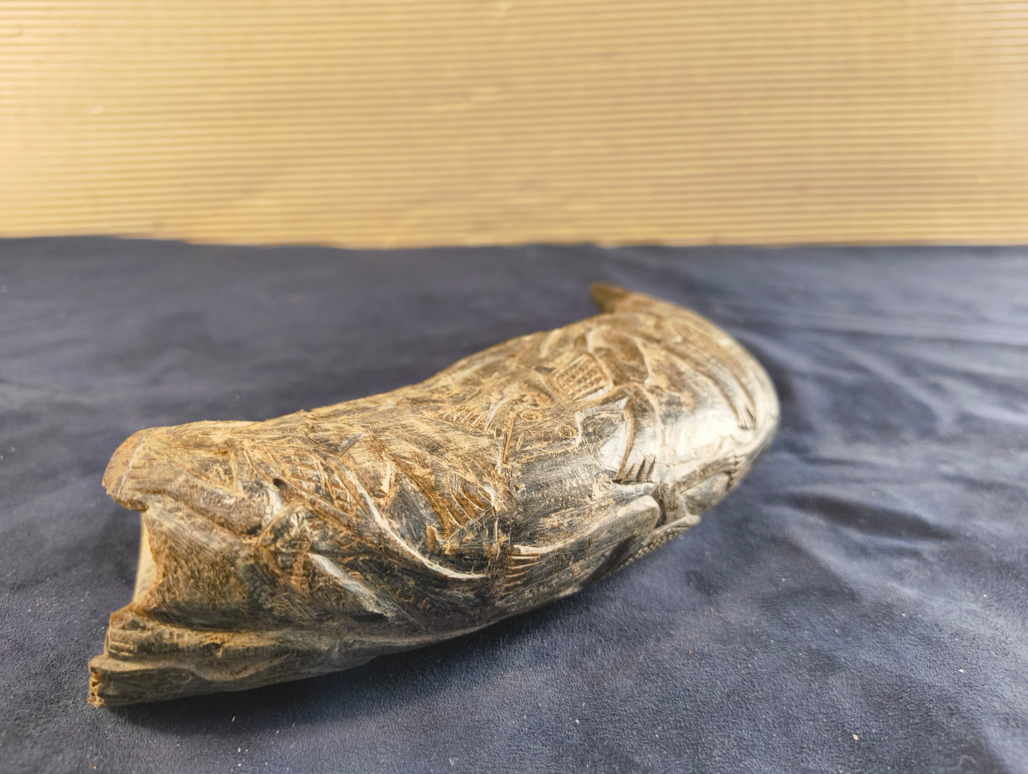 Carved Black Buffalo Horn – Bamun – Cameroon – Africa