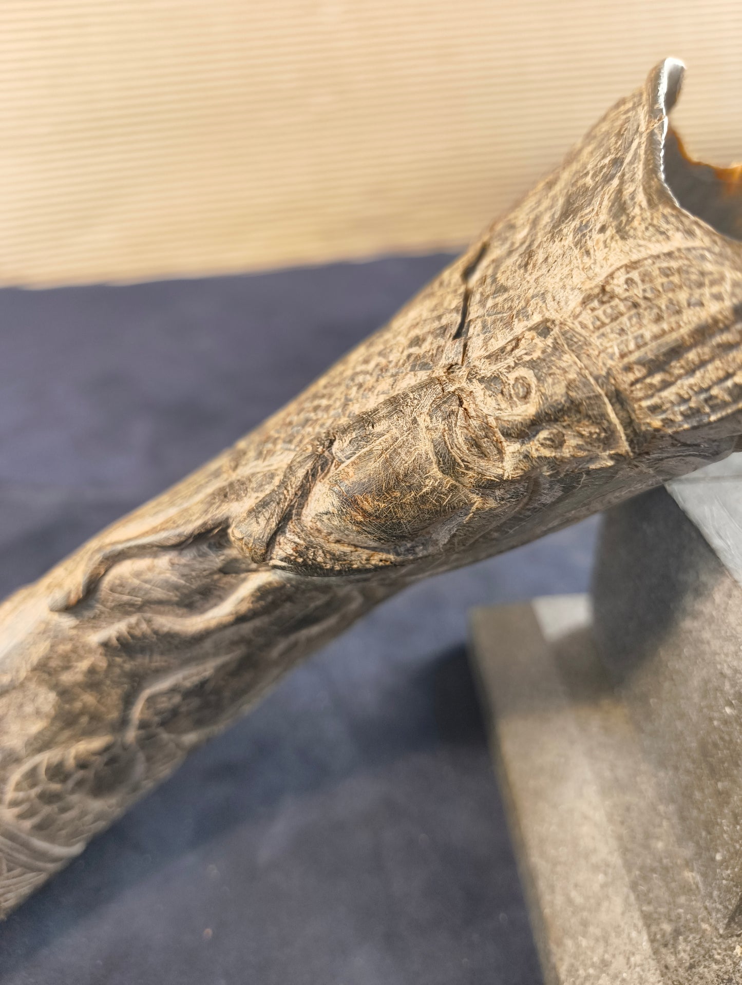 Carved Black Buffalo Horn – Bamun – Cameroon – Africa