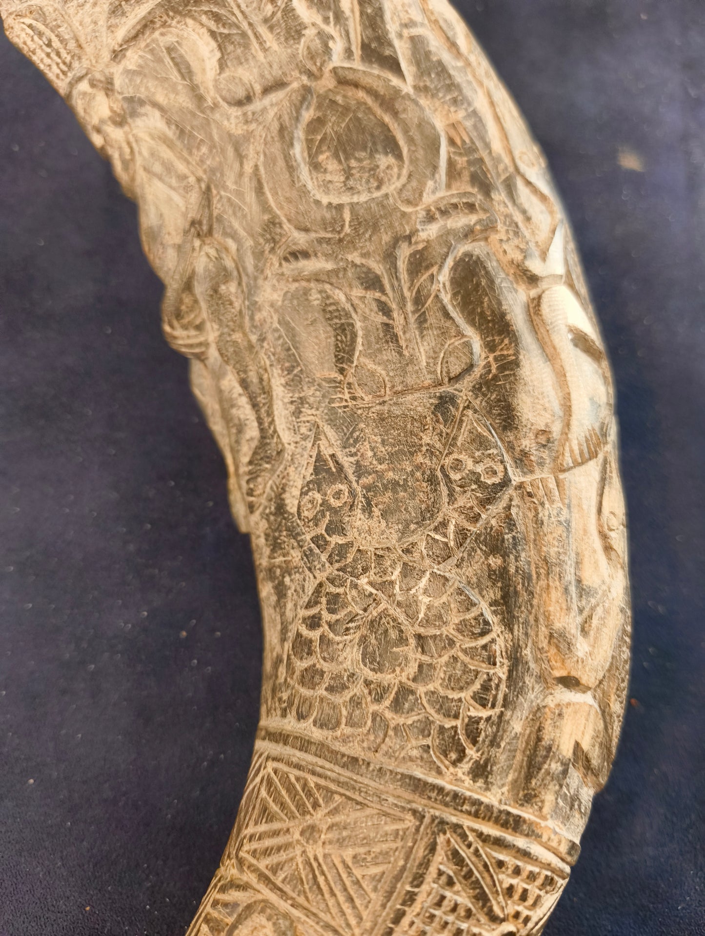 Carved Black Buffalo Horn – Bamun – Cameroon – Africa