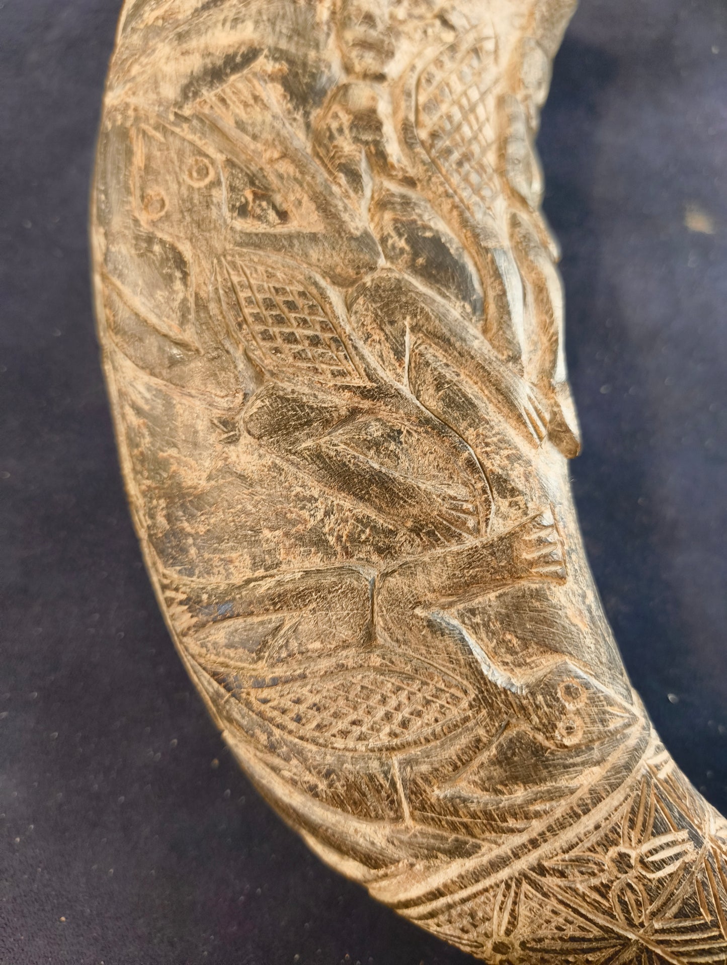 Carved Black Buffalo Horn – Bamun – Cameroon – Africa