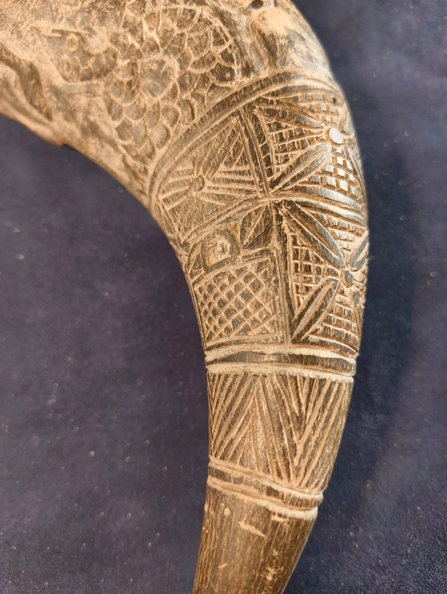 Carved Black Buffalo Horn – Bamun – Cameroon – Africa