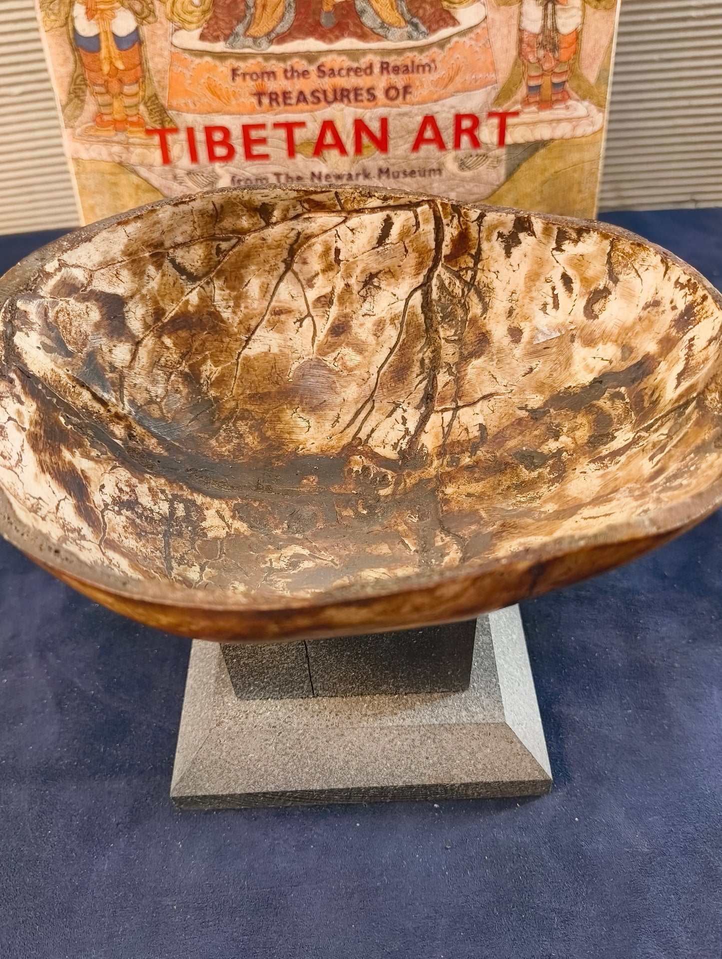Coppa del Teschio (kapala) calotta cranica di teschio - Tibet - 19° secolo
