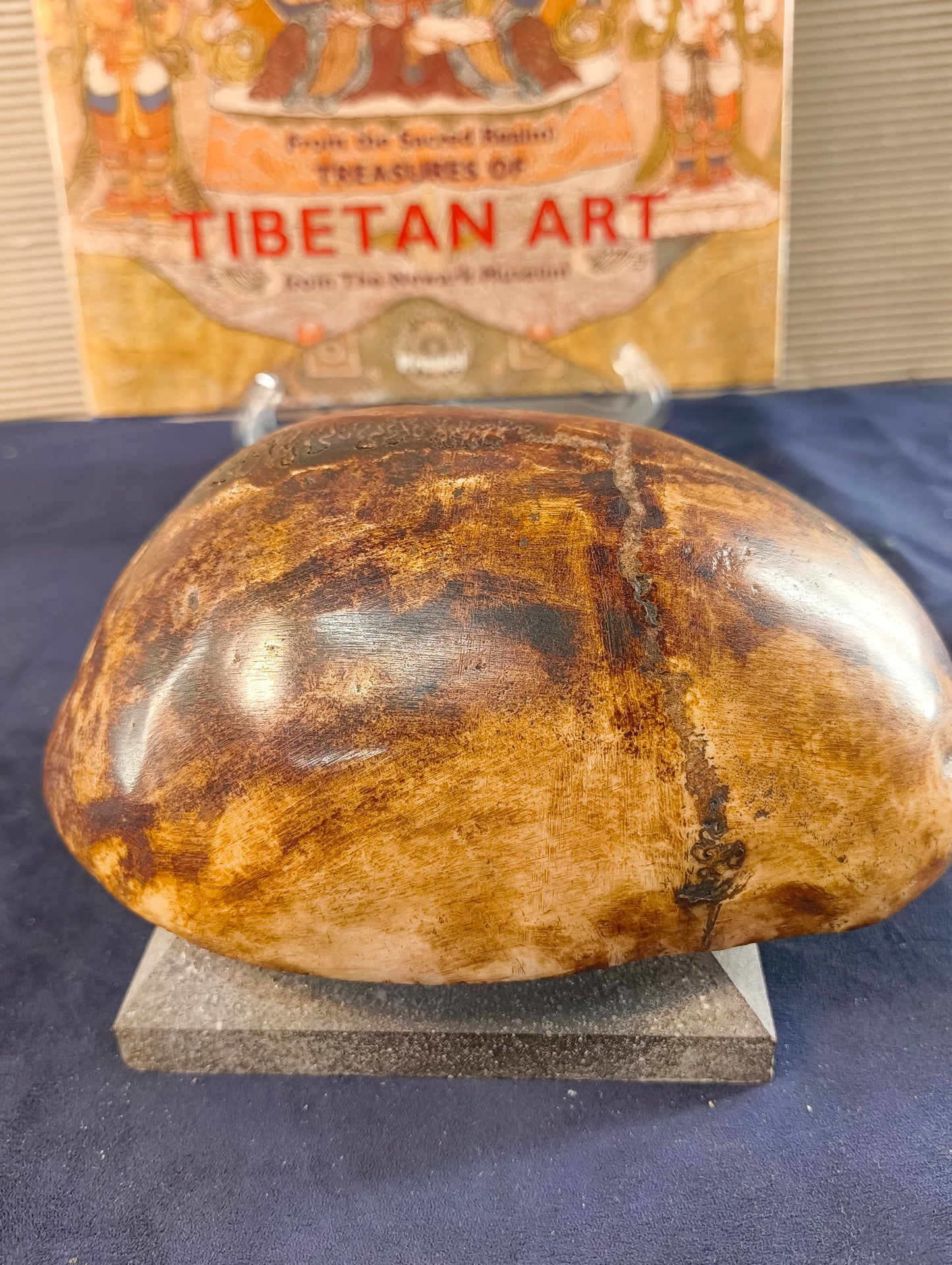 Coppa del Teschio (kapala) calotta cranica di teschio - Tibet - 19° secolo