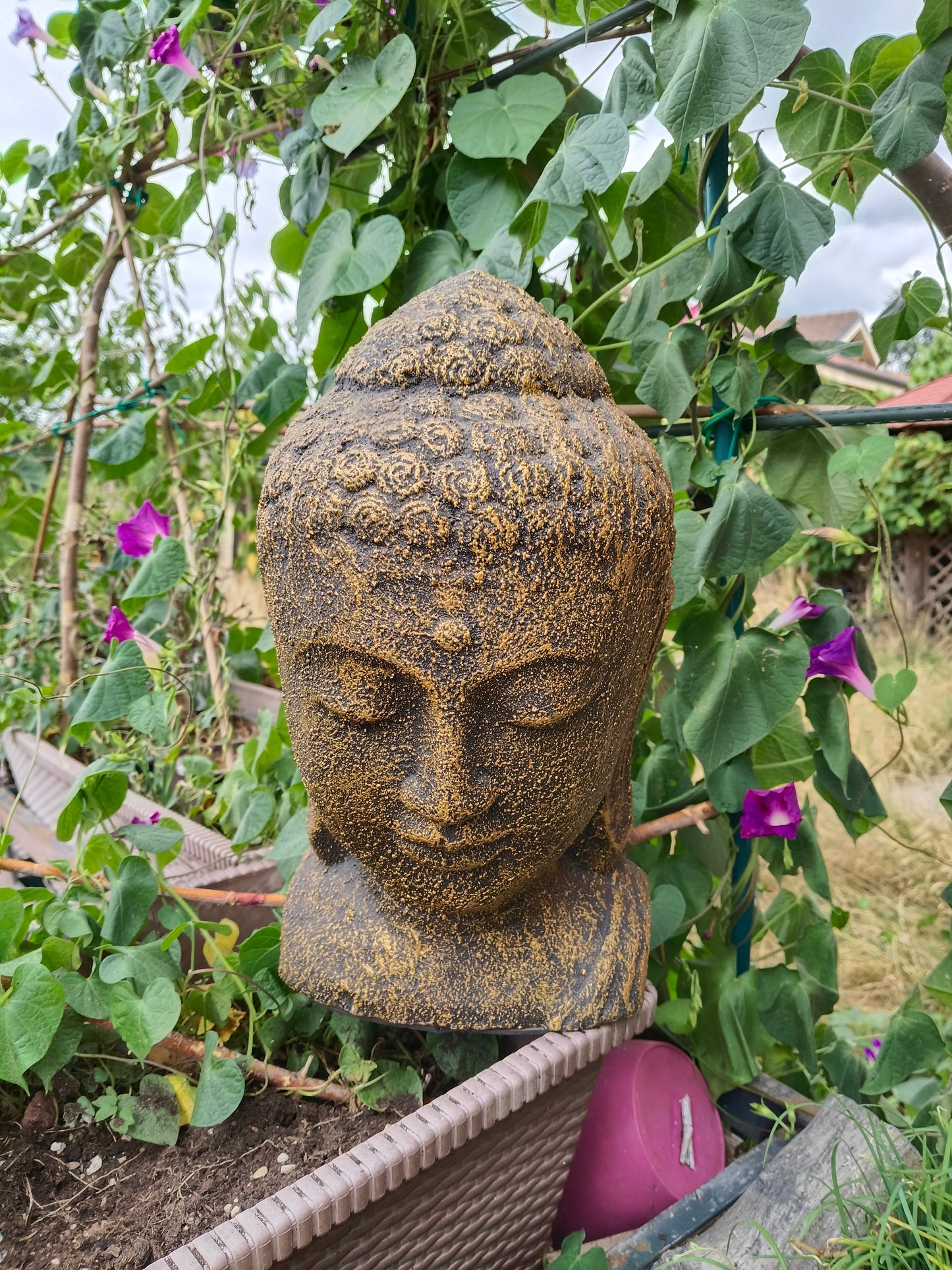Testa Buddha - Polimerico, gesso, vetroresina, acrilici - Indonesia - 21° secolo