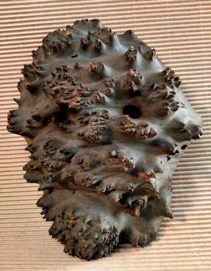 Shamanic mask