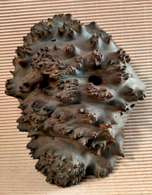 Shamanic mask