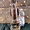 Statua di antenato - Legno - Singiti - Hemba - R.D.Congo -  Metà del XX secolo