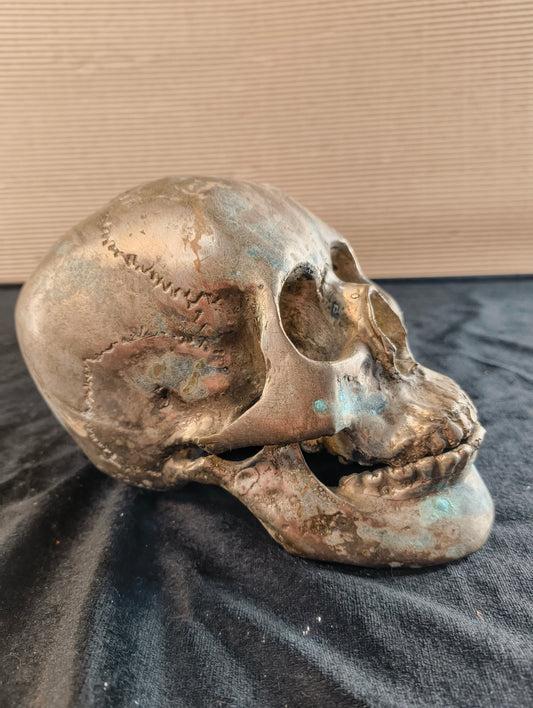 Metal alloy skull - France - mid 20th century