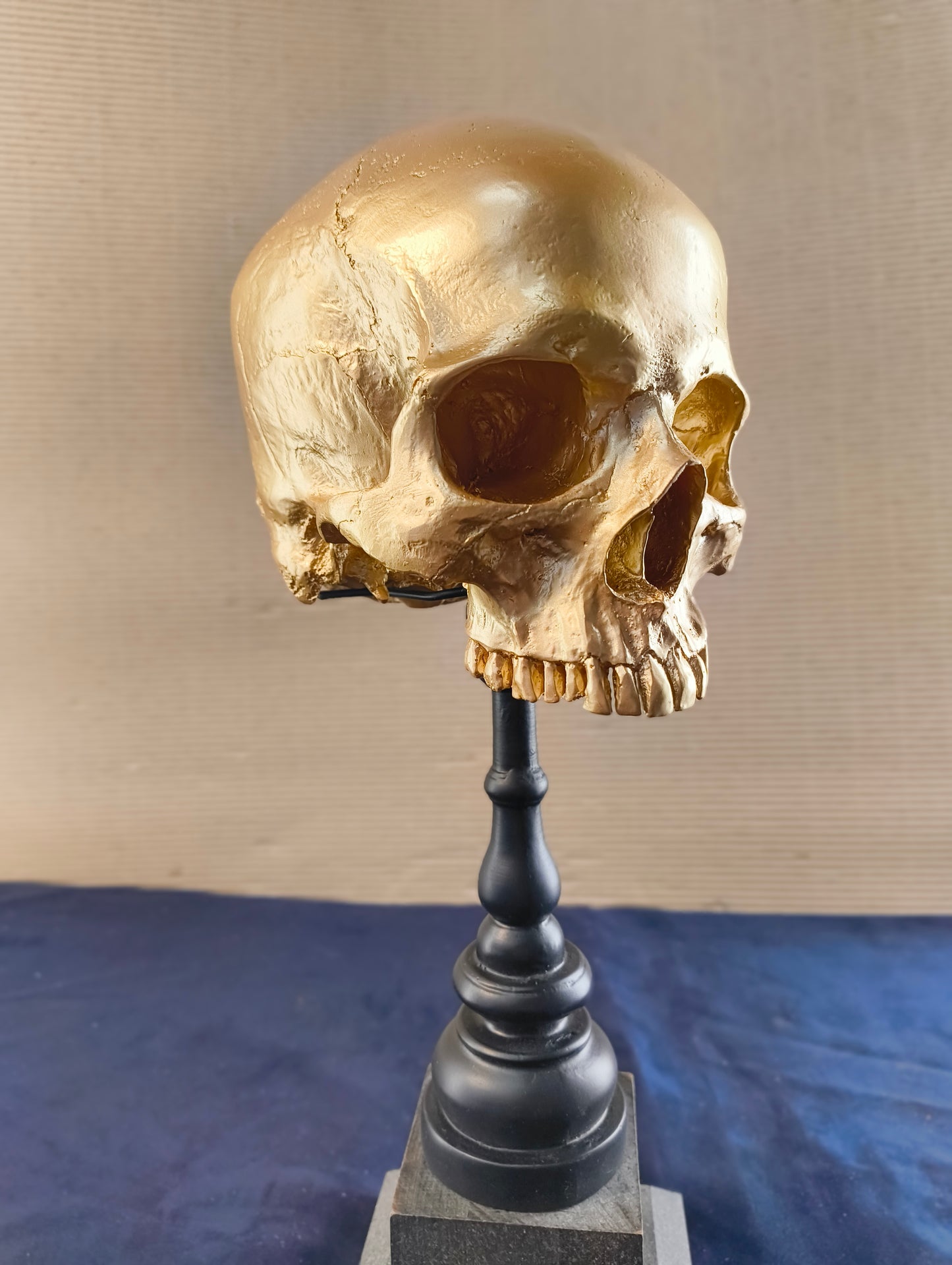 Cranio su supporto in stile gotico - Olanda - XXI° secolo