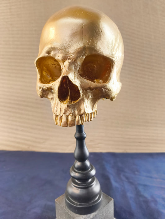 Cranio su supporto in stile gotico - Olanda - XXI° secolo