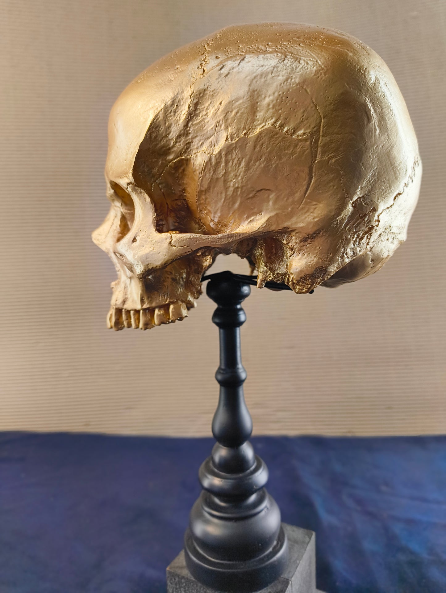 Cranio su supporto in stile gotico - Olanda - XXI° secolo