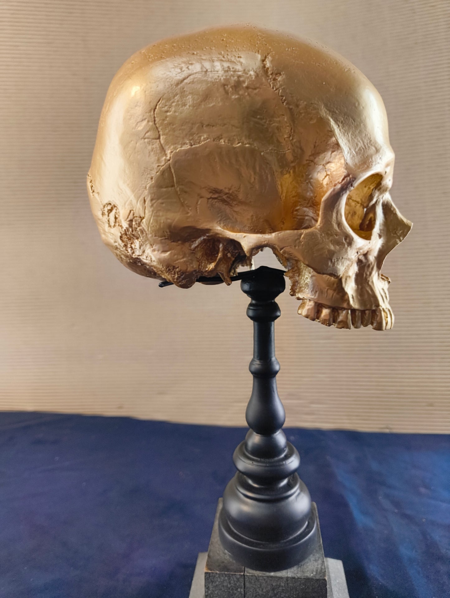 Cranio su supporto in stile gotico - Olanda - XXI° secolo