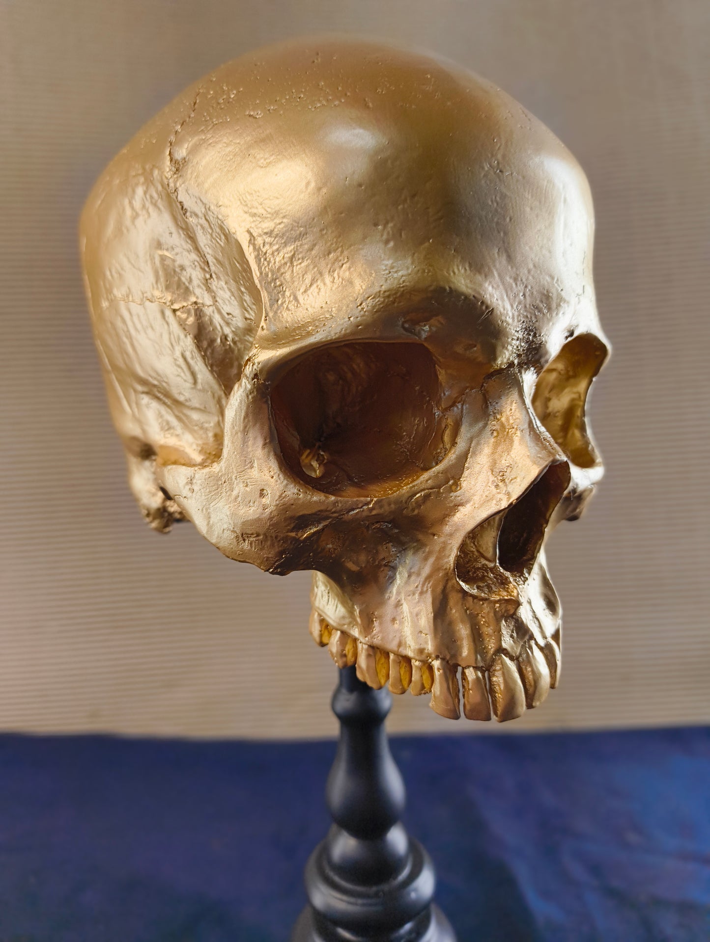 Cranio su supporto in stile gotico - Olanda - XXI° secolo
