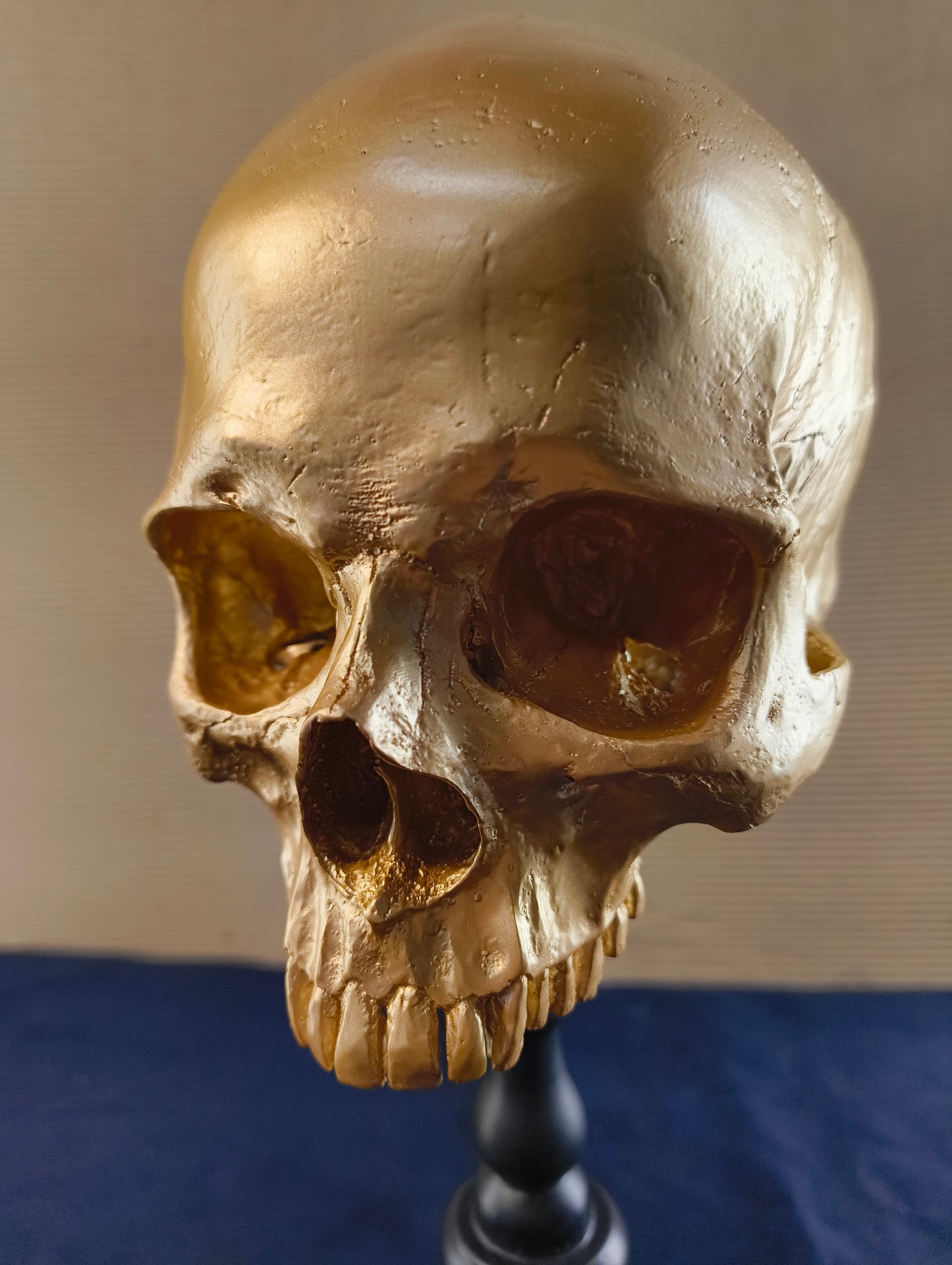 Cranio su supporto in stile gotico - Olanda - XXI° secolo