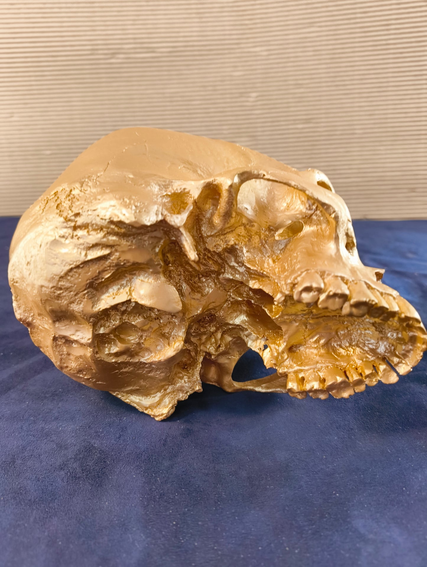 Cranio su supporto in stile gotico - Olanda - XXI° secolo