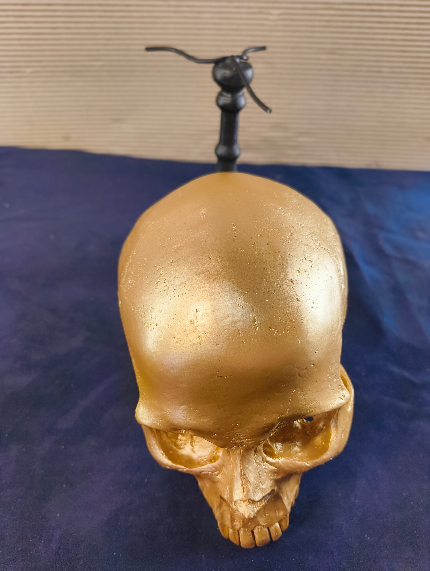 Cranio su supporto in stile gotico - Olanda - XXI° secolo