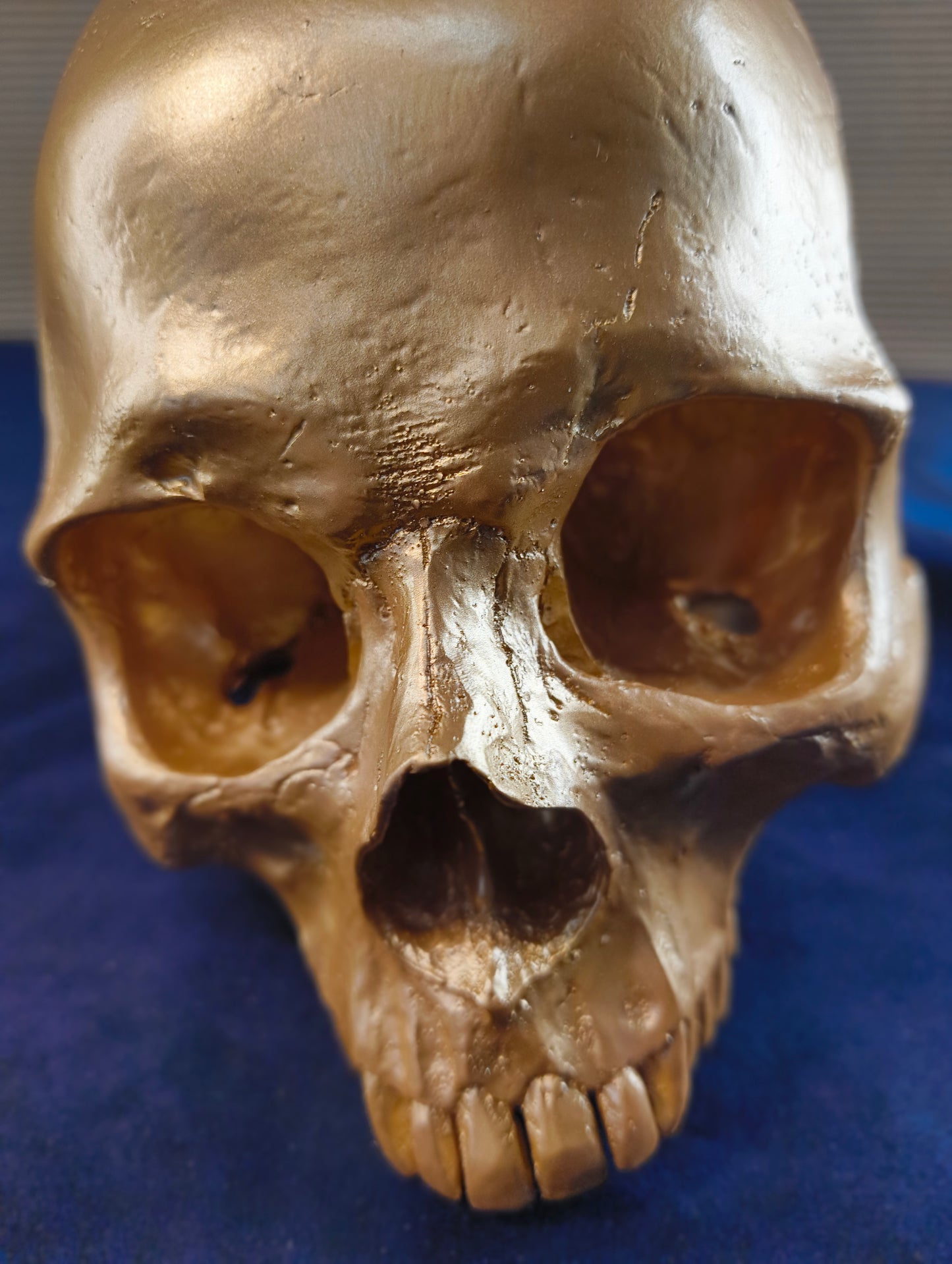 Cranio su supporto in stile gotico - Olanda - XXI° secolo