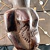 Statua di antenato - Legno - Singiti - Hemba - R.D.Congo -  Metà del XX secolo